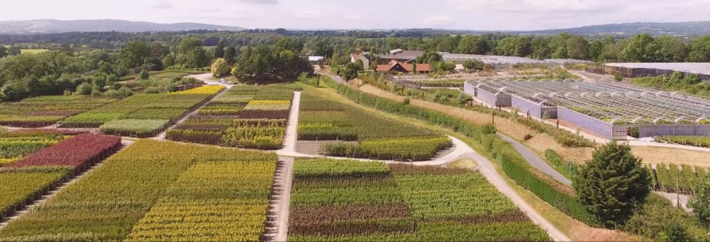 Sustainability at Frank P Matthews